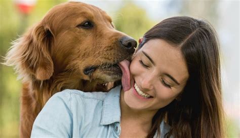 mujeres follando con perros grandes|Mujer se folla a un perro y siente semen dentro